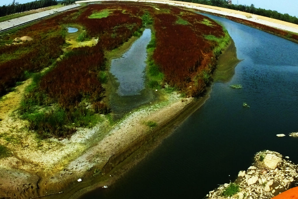 DSCF6837.JPG
