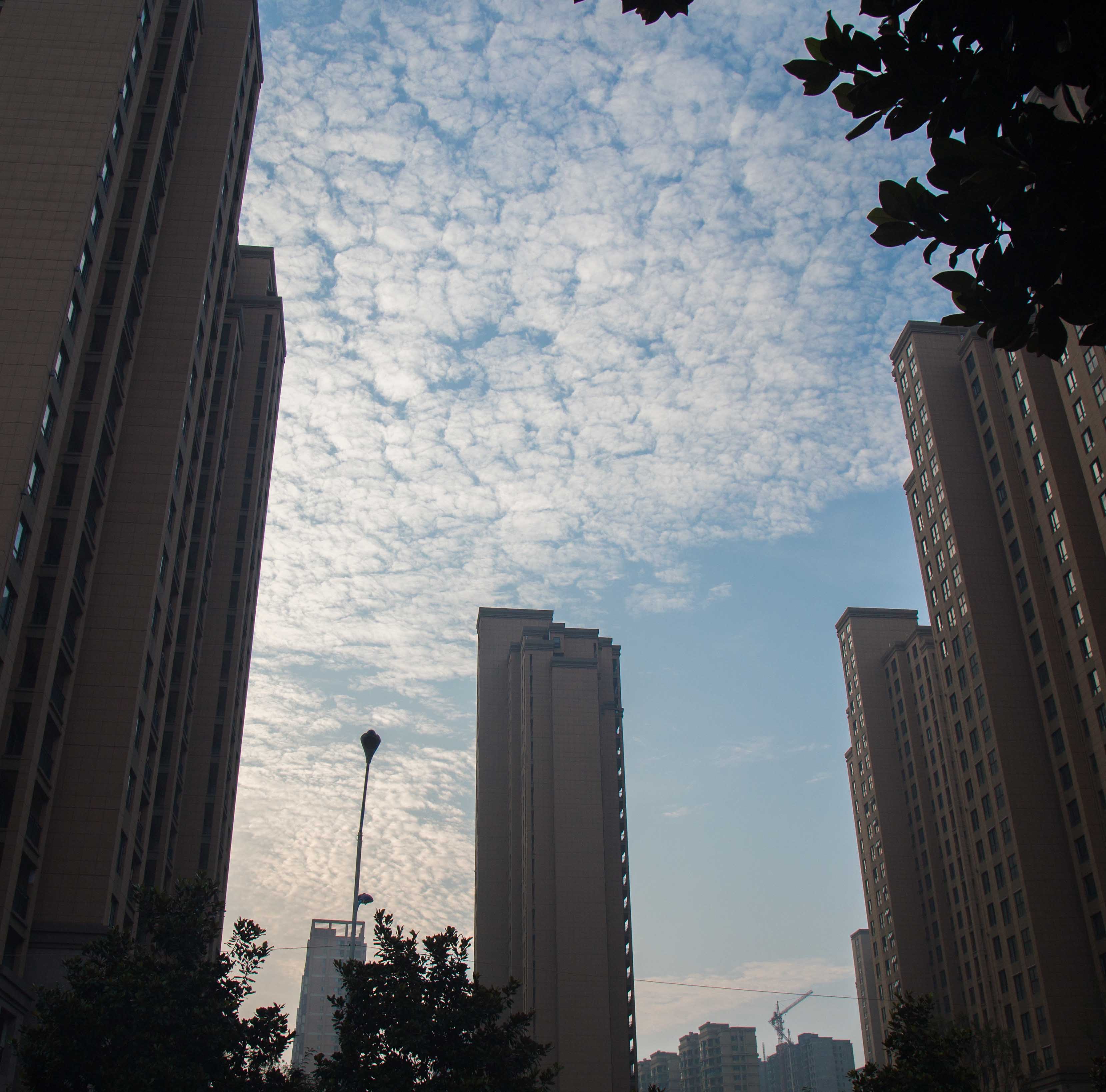IMG_0015副本.jpg