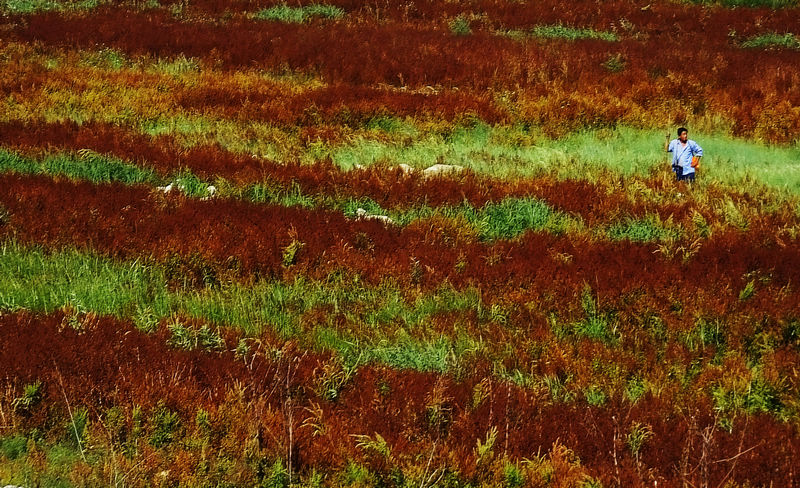 DSCF6844.JPG