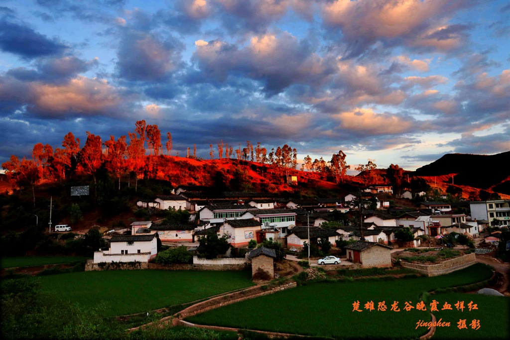 7D6A2644_副本.jpg