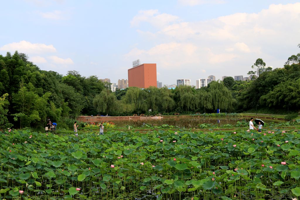 IMG_6115_副本.jpg