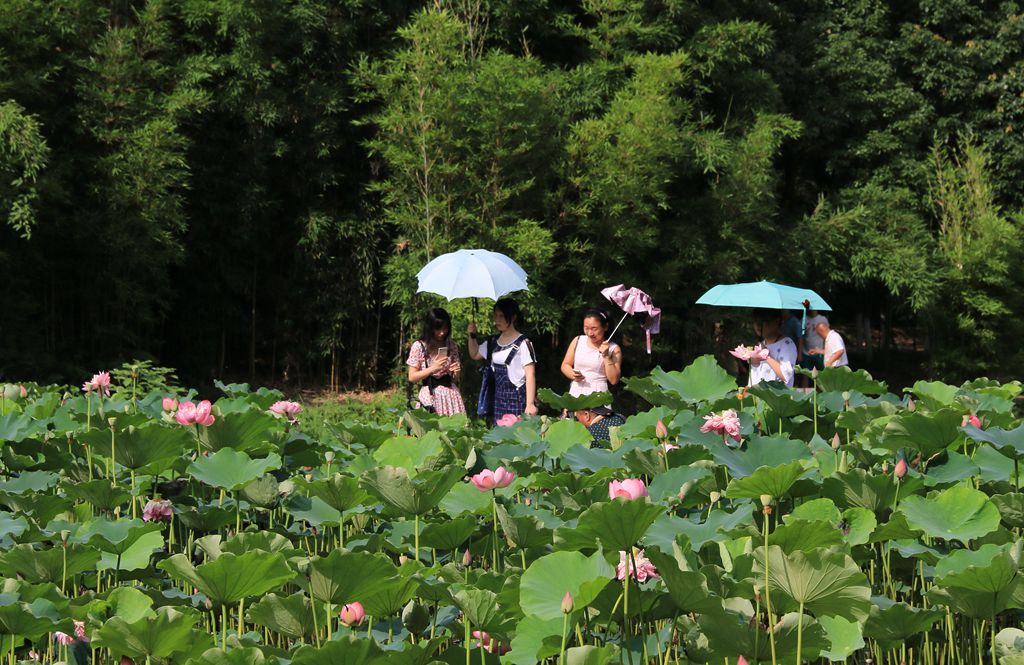 IMG_6140_副本.jpg