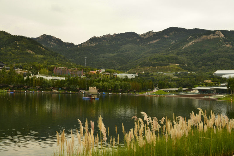 世园小景
