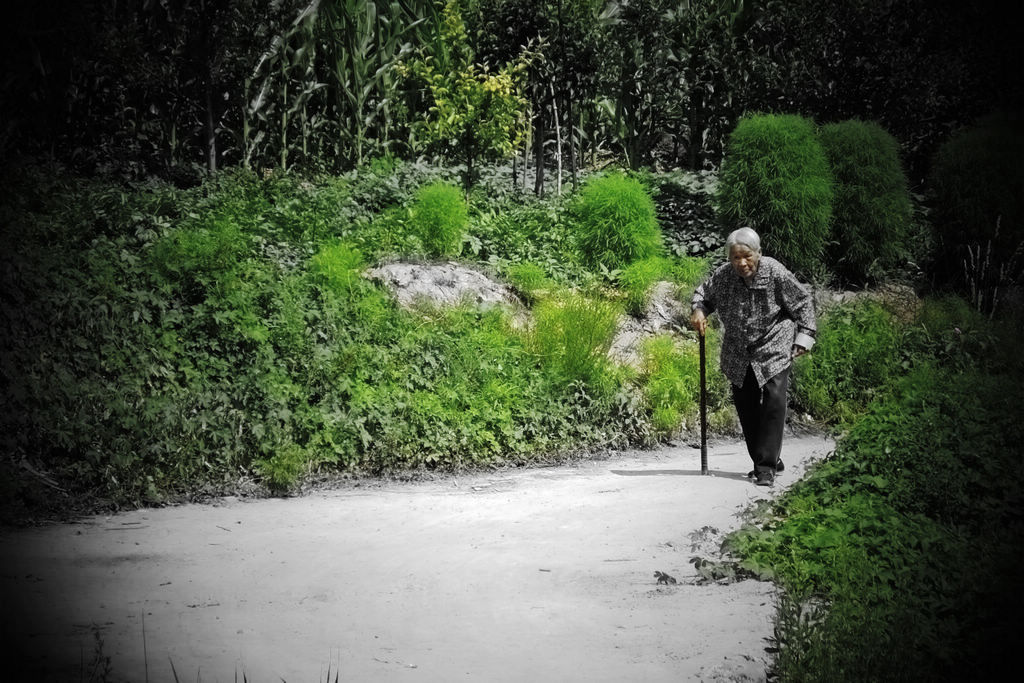 DSCF6763.JPG