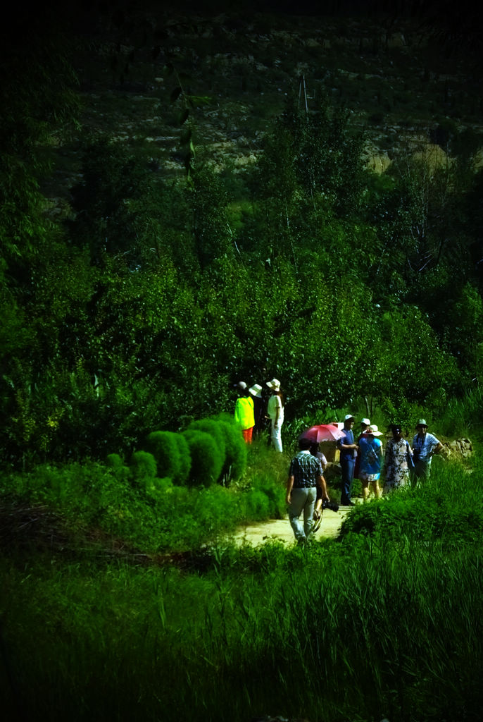 DSCF6725.JPG