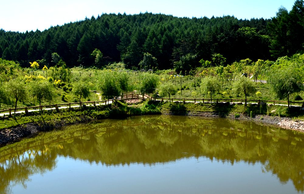 DSC_1241_副本.jpg