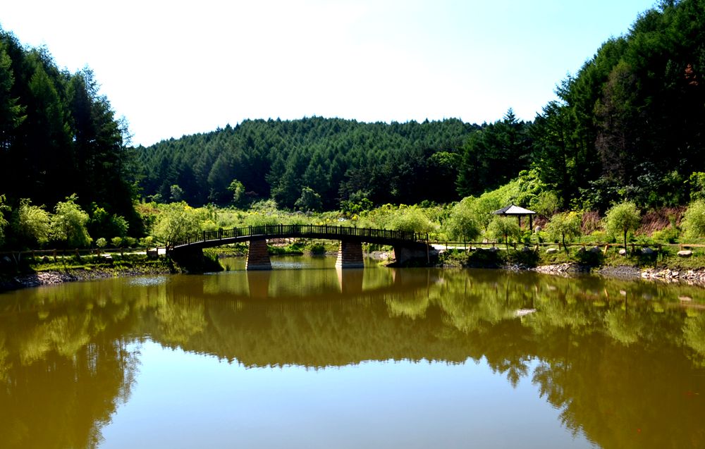 DSC_1223_副本.jpg