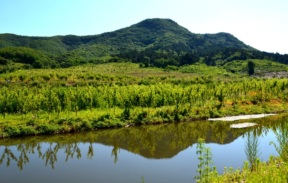 DSC_1208_副本.jpg