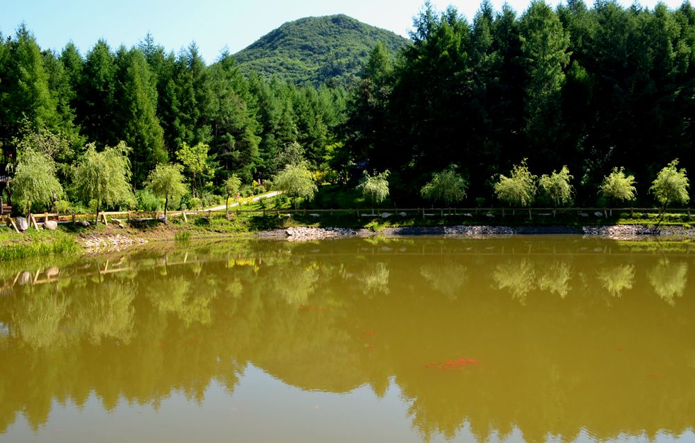 DSC_1231_副本.jpg