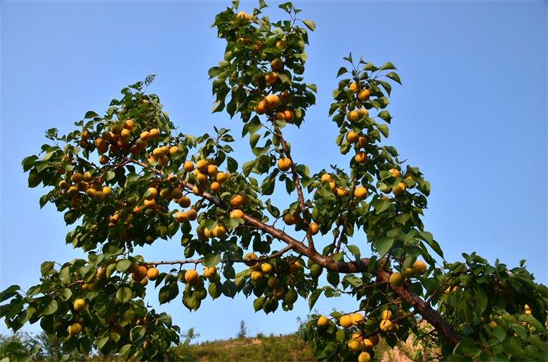 DSC_1983.JPG