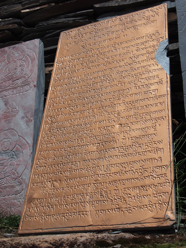 P1010482.JPG