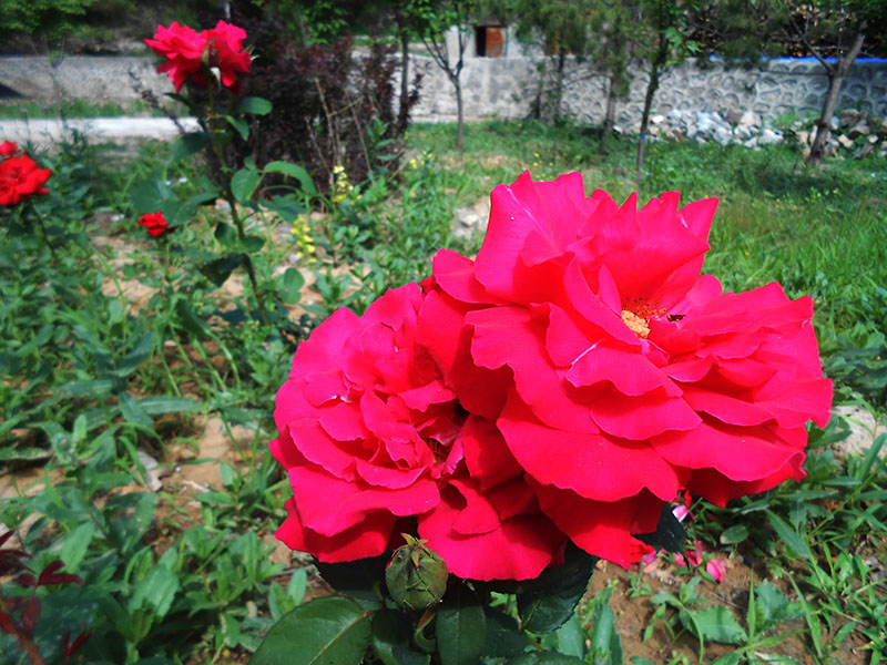 DSCN1626.JPG