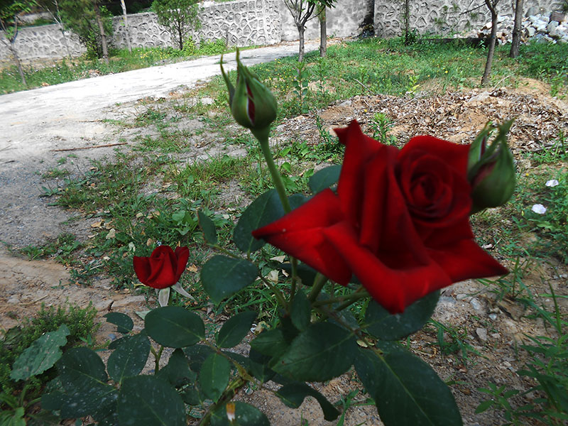 DSCN1628.JPG