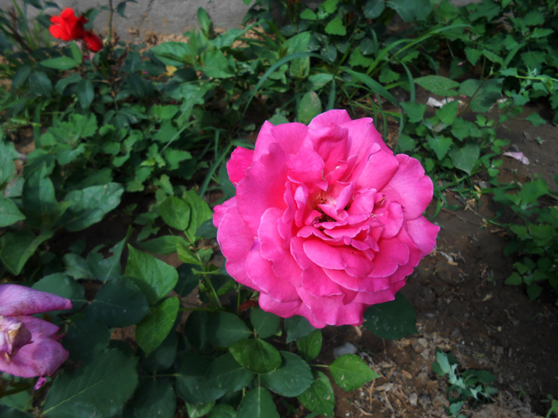 DSCN1630.JPG