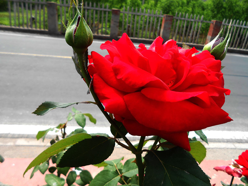 DSCN1640.JPG