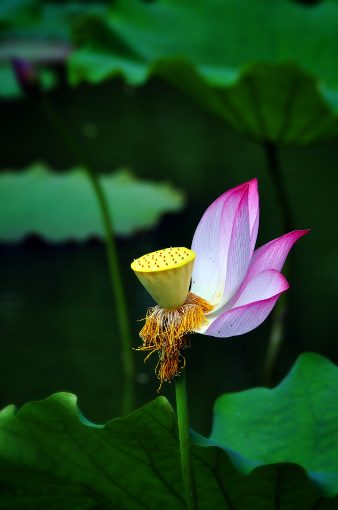 DSC_3468副本.jpg