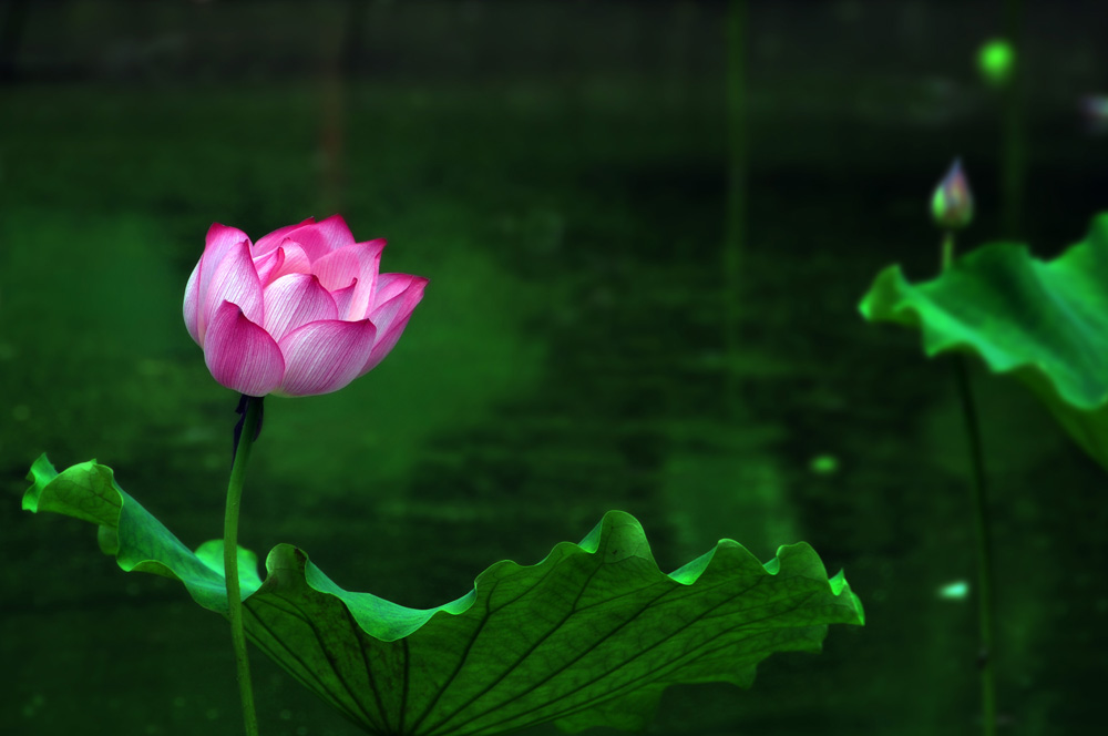DSC_3521副本.jpg