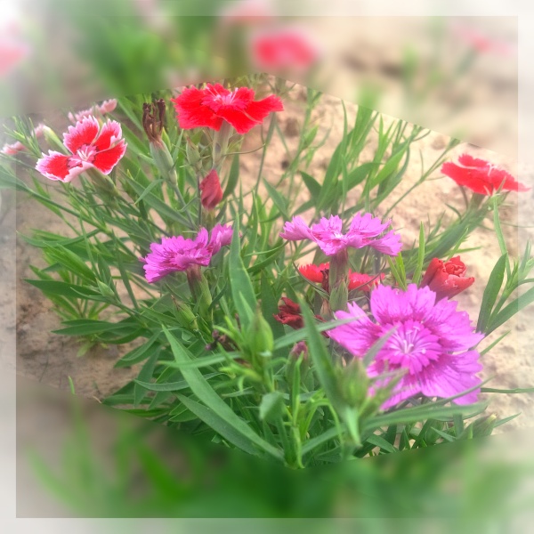 20150706203018.jpg