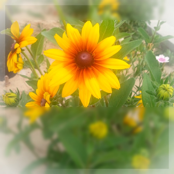 20150706202331.jpg