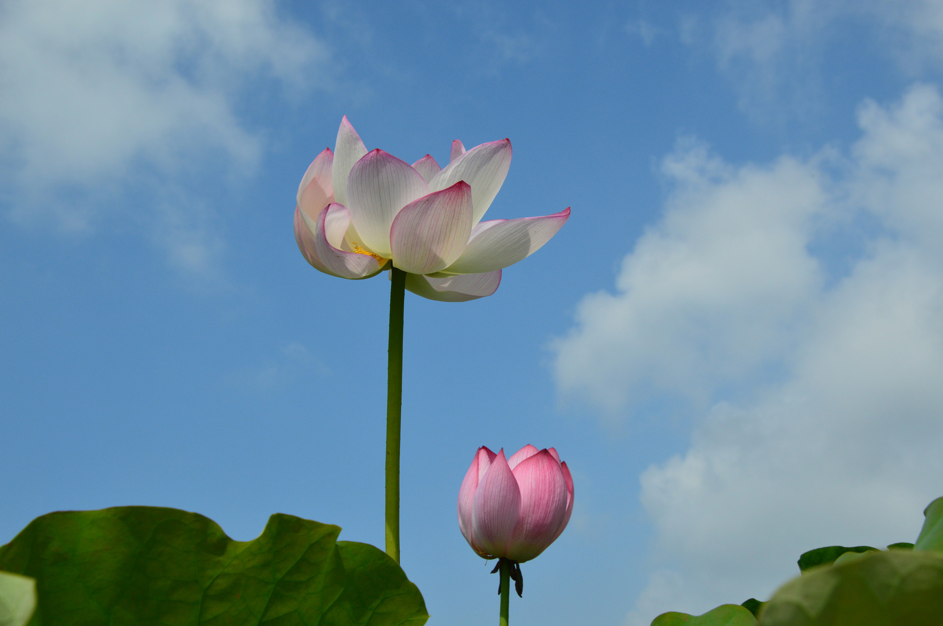 DSC_0126_.jpg