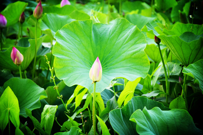 照片 193_副本.jpg