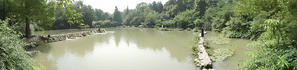 conew_sam_2241.jpg