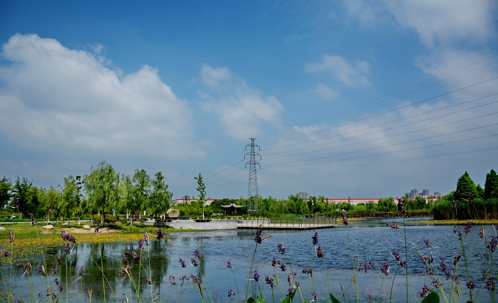 DSC_5280.JPG
