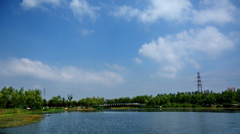 DSC_5303.JPG