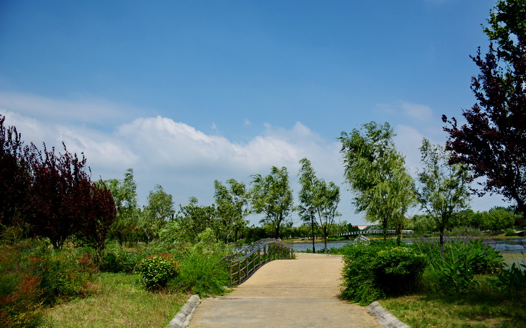 DSC_5307.JPG
