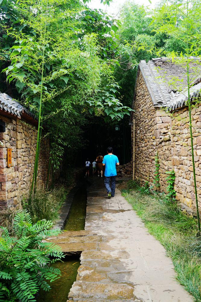 DSC02169_副本.jpg