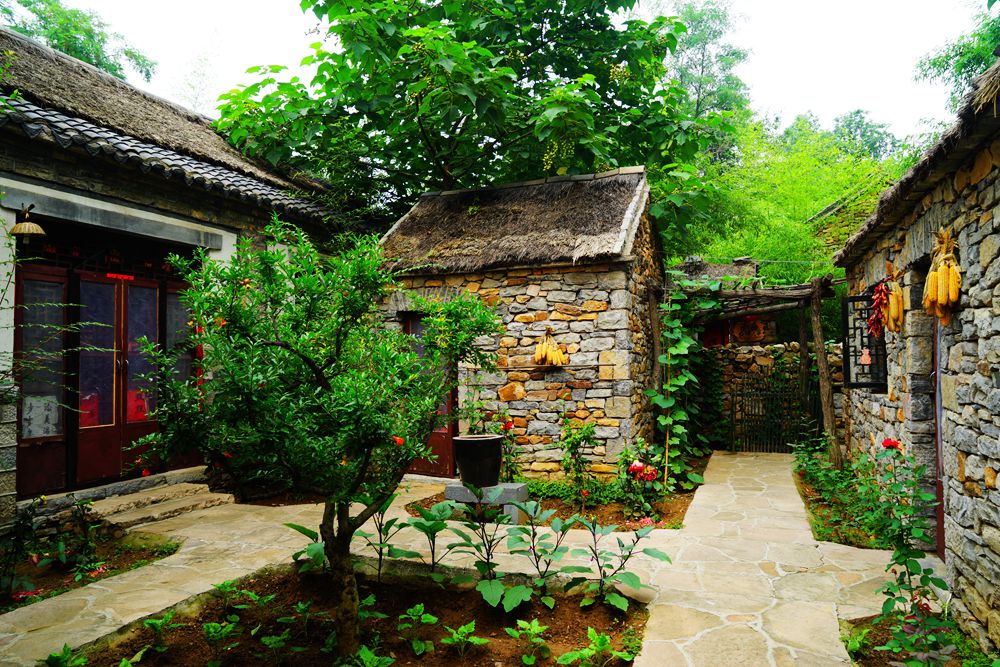 DSC02185_副本.jpg