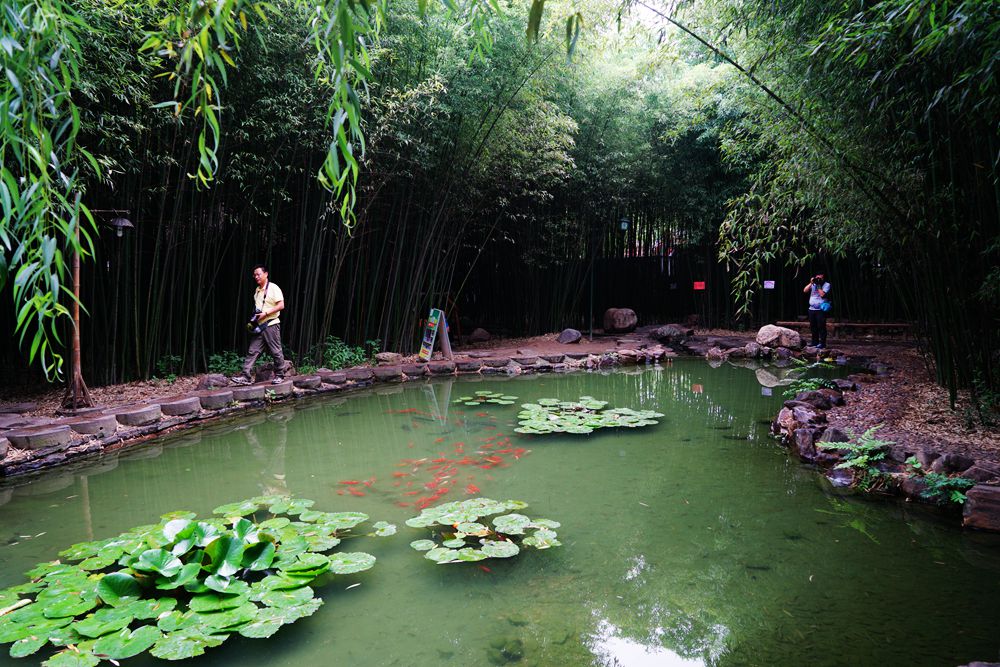 DSC02192_副本.jpg