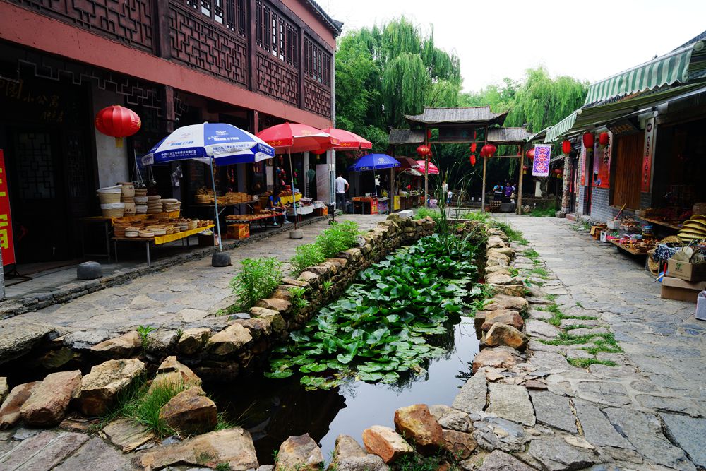 DSC02230_副本.jpg