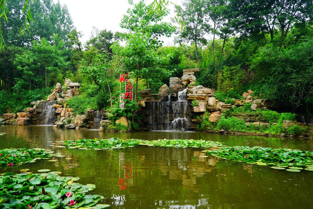 DSC02113_副本.jpg
