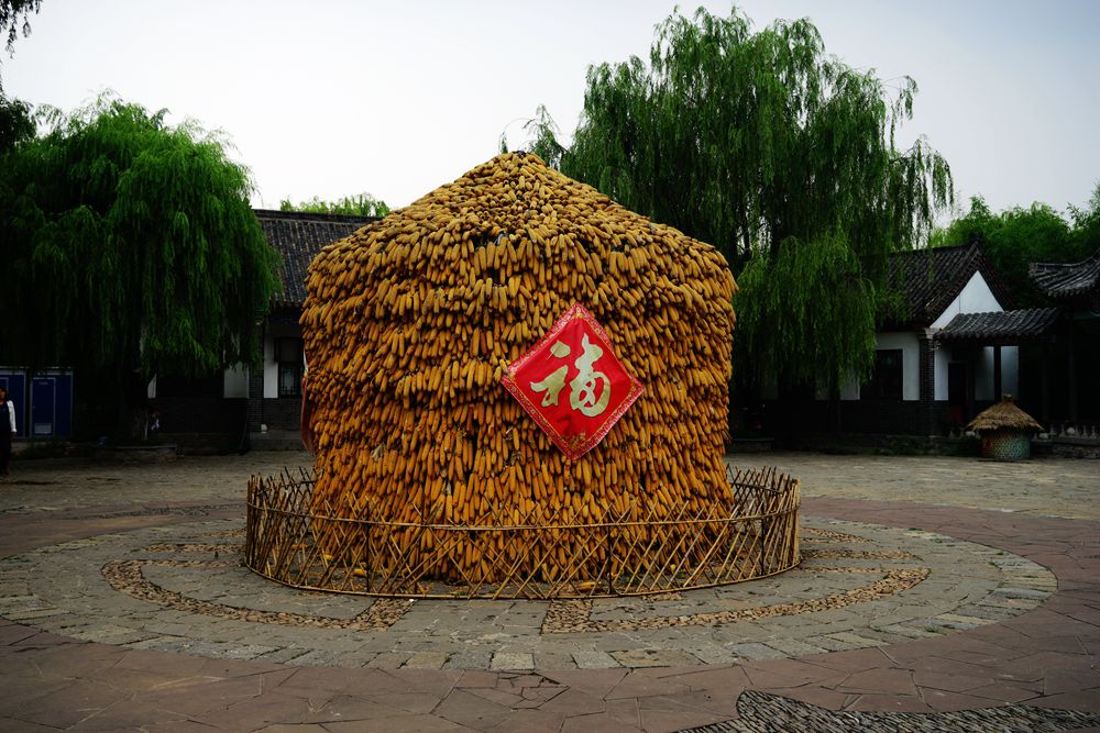 DSC02235_副本.jpg