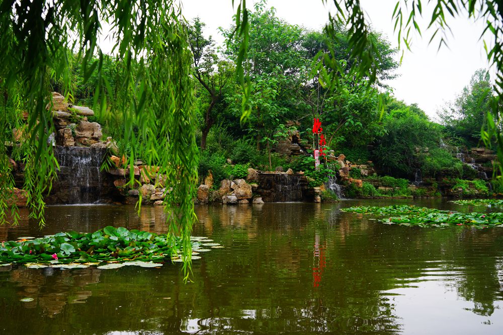 DSC02239_副本.jpg