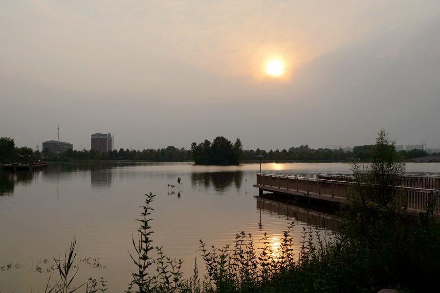 DSC04554_副本.jpg