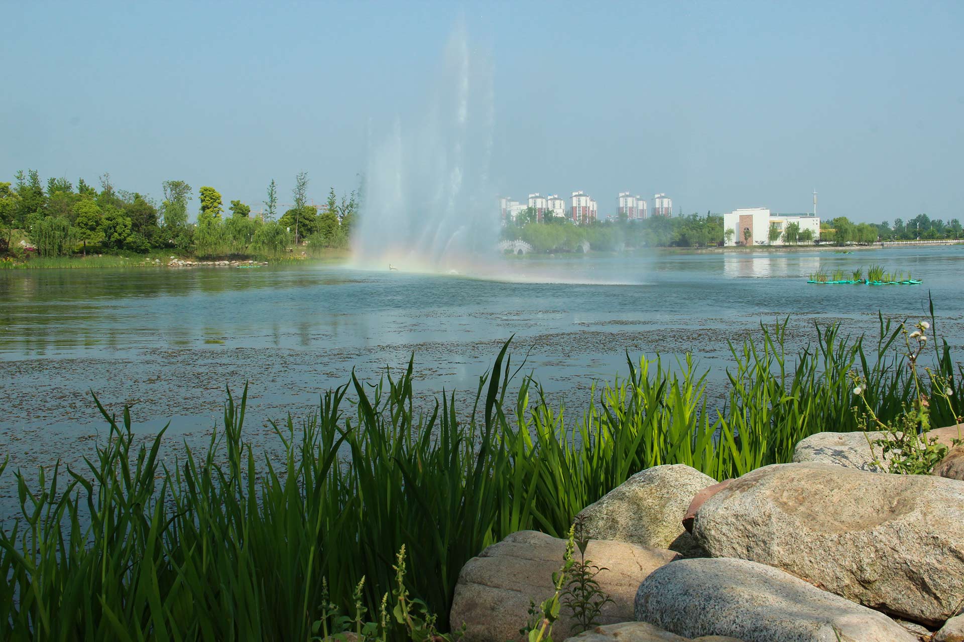 IMG_88421.jpg