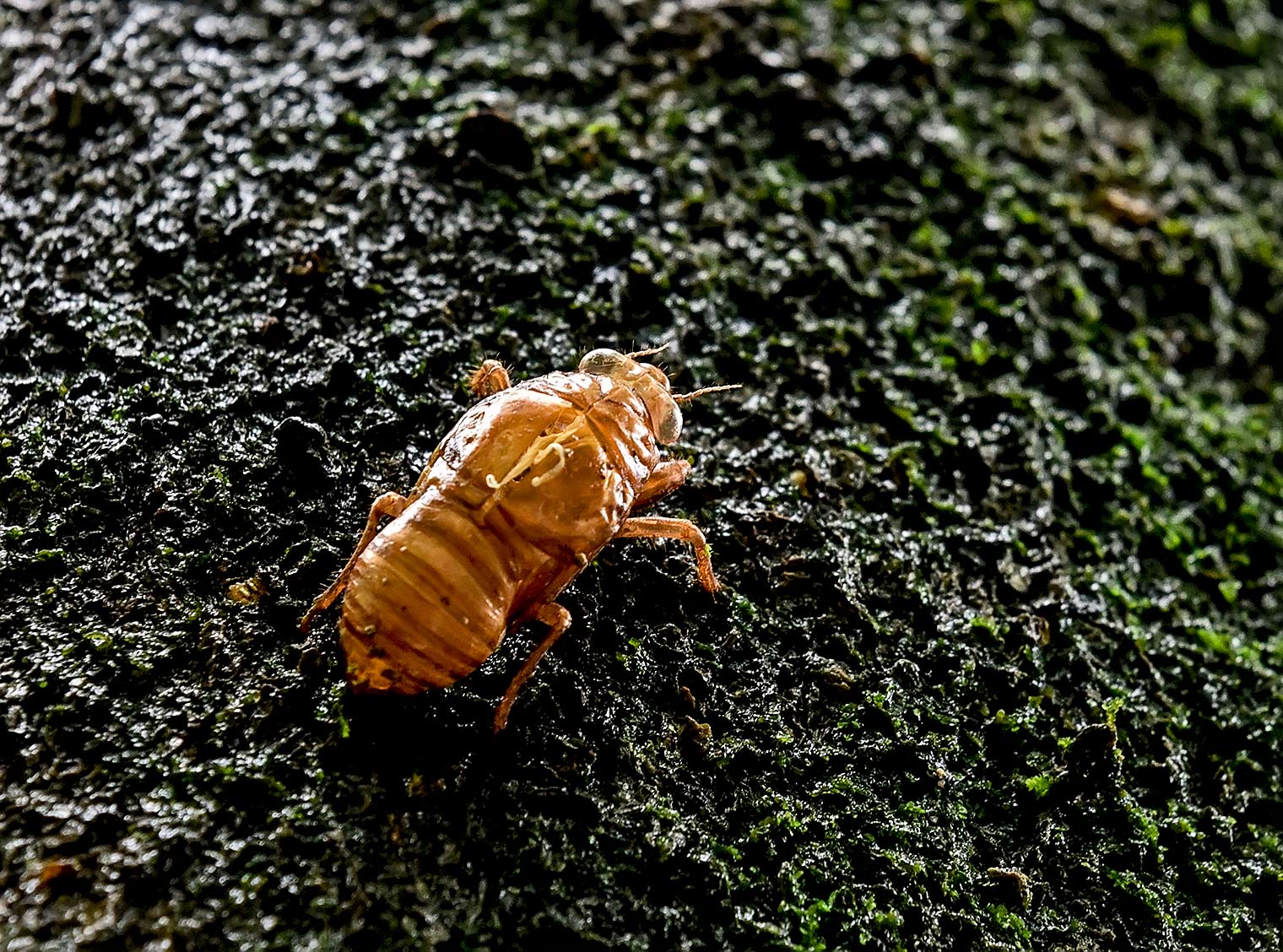 DSC_7226.jpg