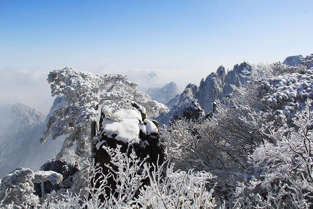 雾锁黄山-6.jpg