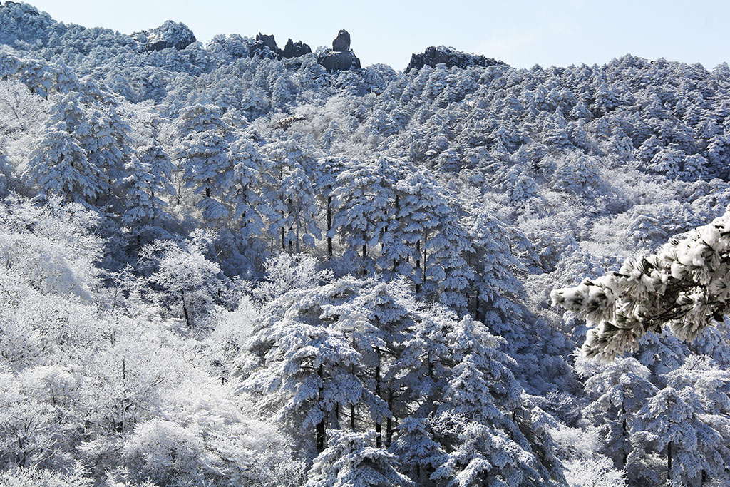 雾锁黄山-8.jpg