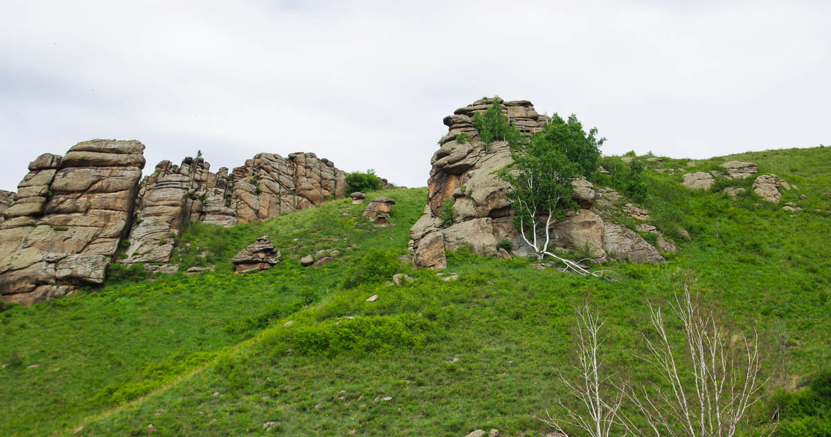 IMGP6095.jpg