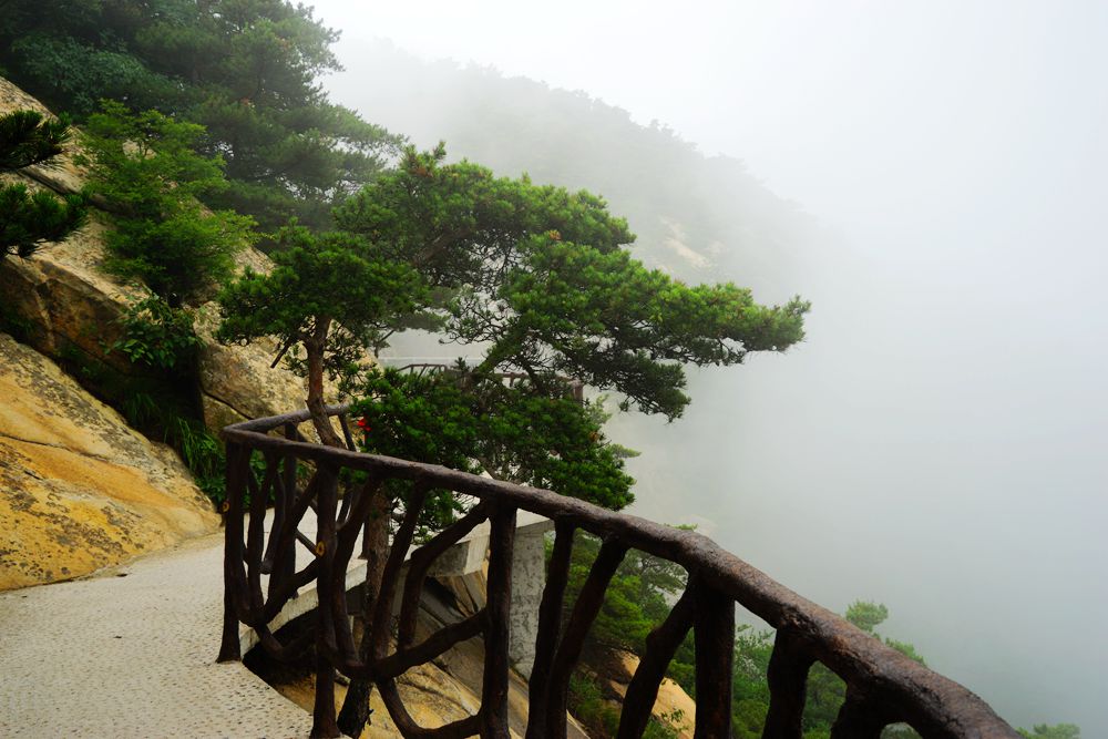 DSC02027_副本.jpg