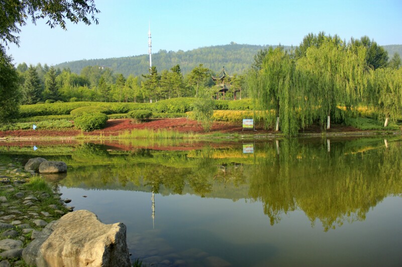 _MG_2317_dh.jpg