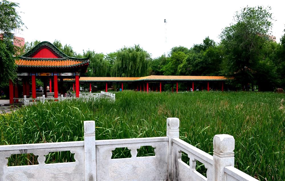 DSC_0455_副本.jpg