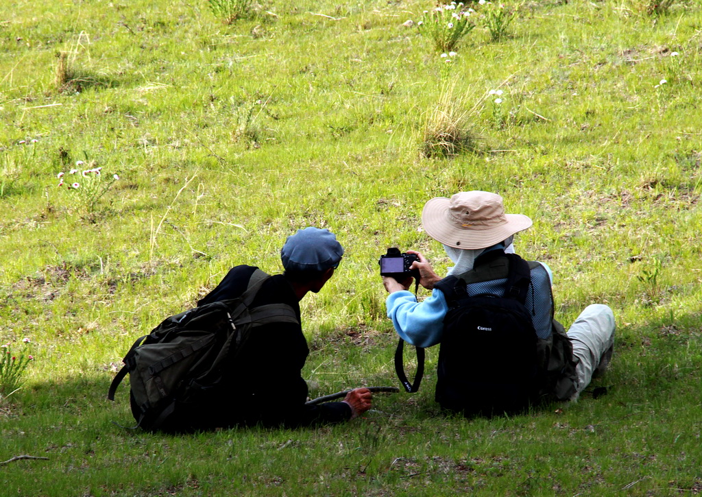 IMG_0459.jpg