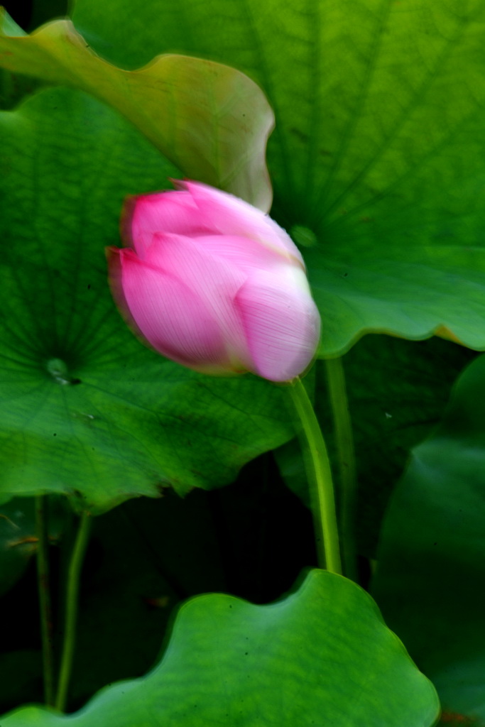 DSC_5848.JPG