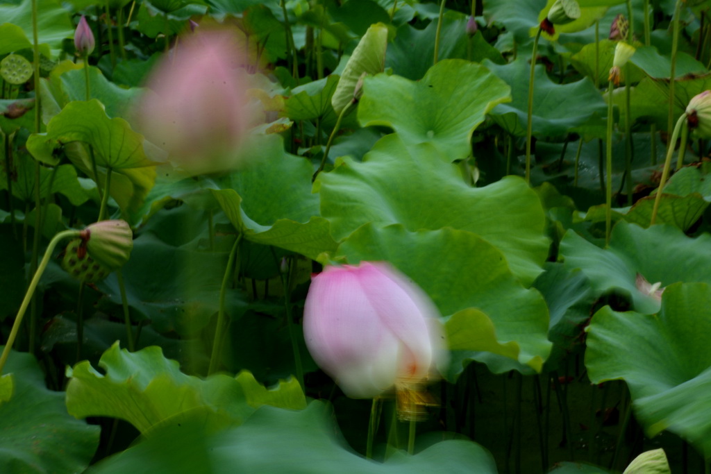 DSC_5851.JPG