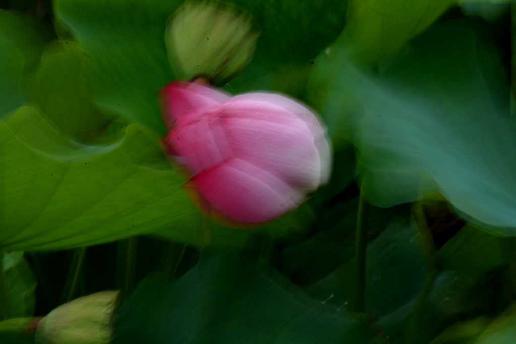 DSC_5858.JPG