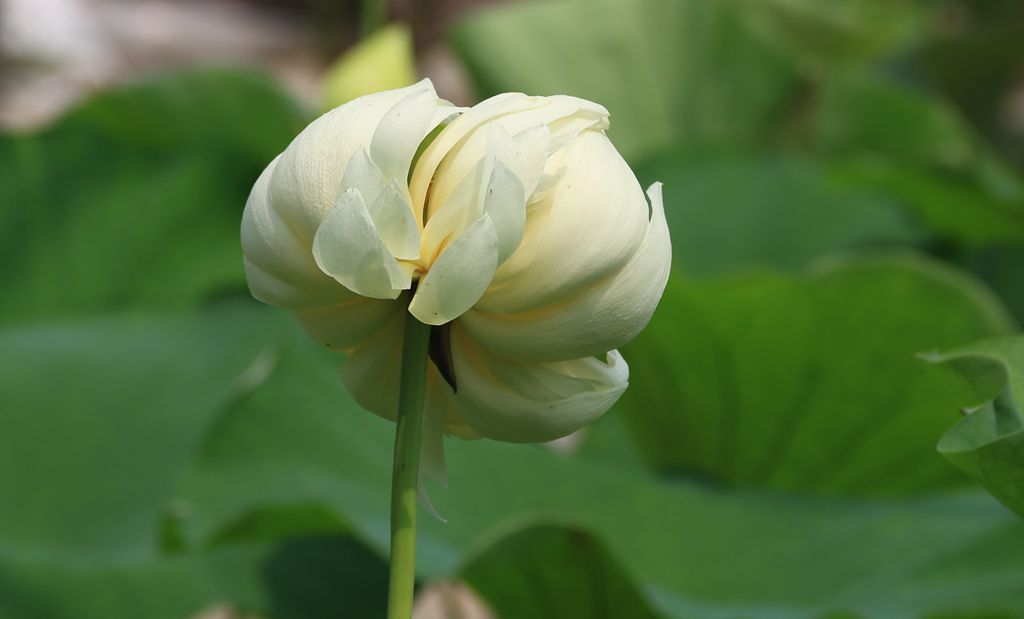 IMG_9489_副本.jpg